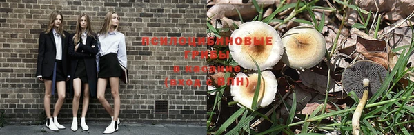 винт Бородино