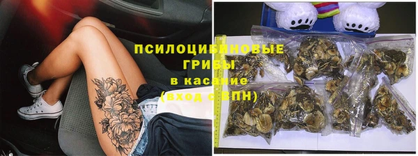 амф Бронницы