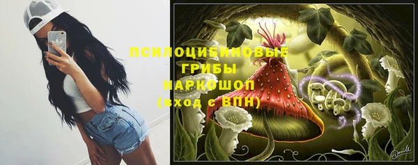винт Бородино