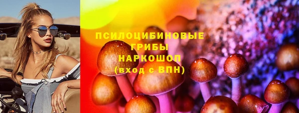 амф Бронницы